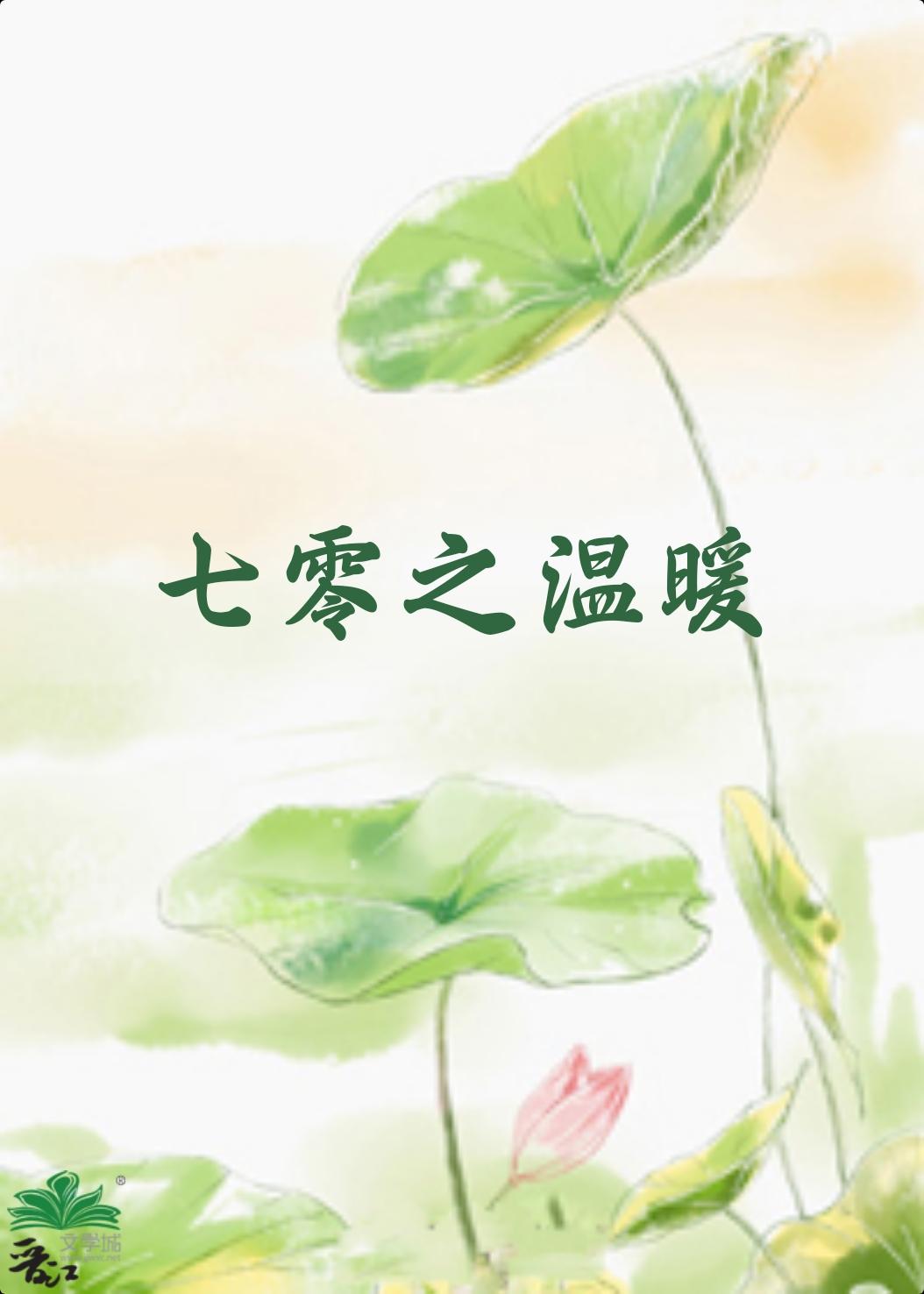 七零之温暖