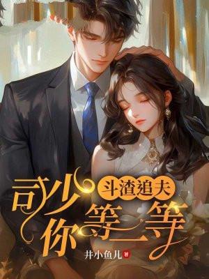 斗渣追夫:司少你等一等