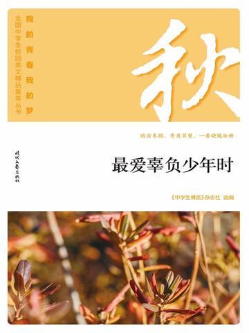 “我的青春我的梦”（秋）最爱辜负少年时