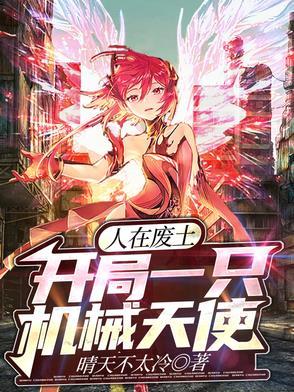 人在废土,开局一只机械天使
