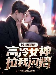 被退婚后,高冷女神拉我闪婚