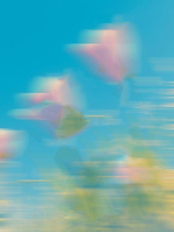 毒兄弟送我下地狱,却不知我是地府女婿