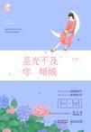 星光不及你倾城(星光无往事)