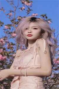 惊!长公主又提刀上朝了精选篇章阅读