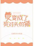 又变成了死对头的猫