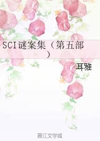 SCI谜案集(SCI迷案集)第五部