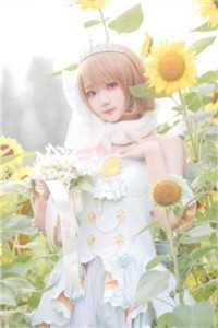 楚飞苏璃小说免费阅读最新完整篇章