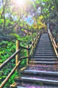 精品小说扶道仙途