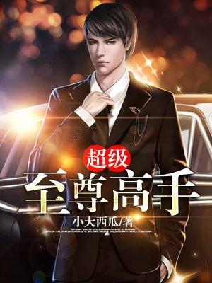 超级至尊高手